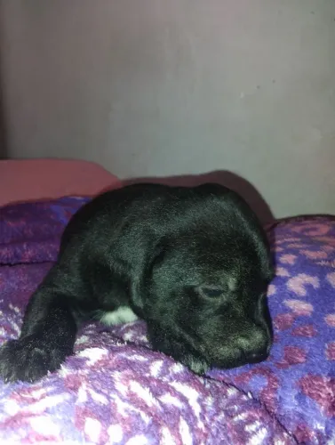 Doação dessa princesa ?