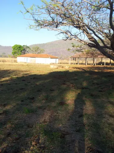 Vendo fazenda no município de Monte Alegre de goias
