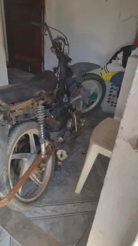 Moto fênix
