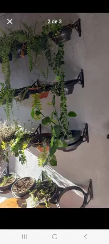 Jardim vertical