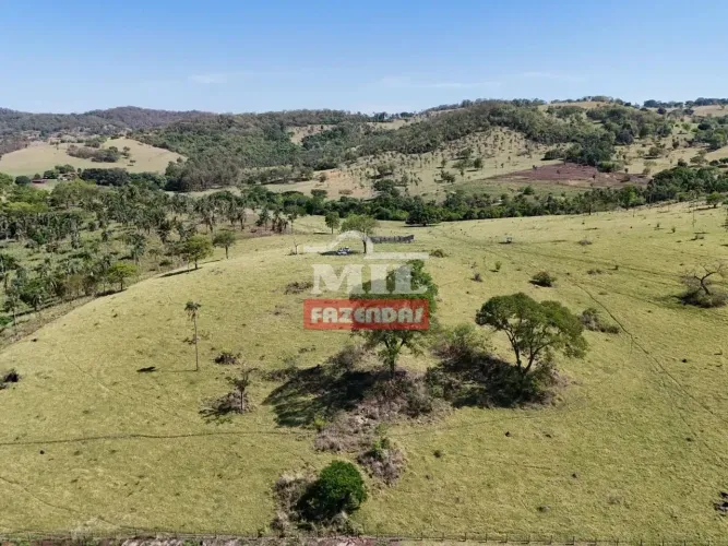Chacara 4 alqueires (19,37 hectares) Inhumas - Go