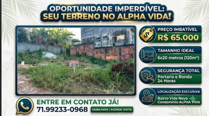 VENDO 3 TERRENOS em vida nova