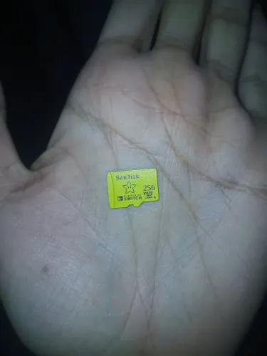MicroSd 256gb