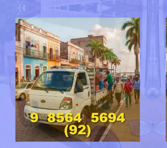 Frete? rápido? e? seguro! faça sua mudança? sem? preocupações!