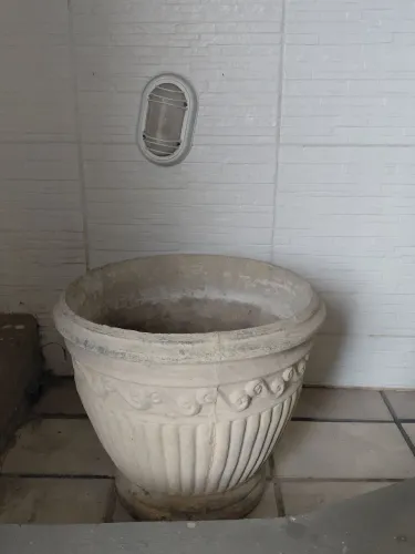 Sementeira