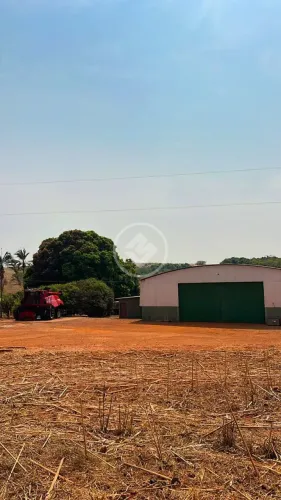 Ipameri - Fazenda de 164 Alqueires codigo: 311315