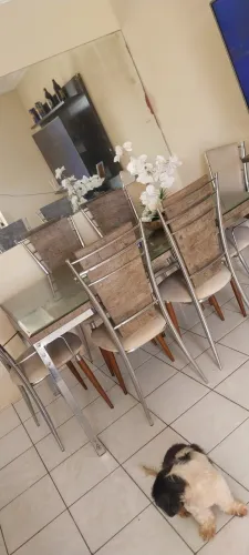MESA DE JANTAR RETANGULAR 06 CADEIRAS