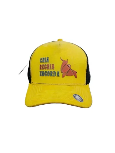 Boné Estilo Country masculino