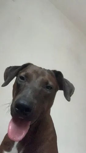 Doação