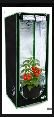 Grow estufa para cultivo indoor + painel de led Full sprectrum 