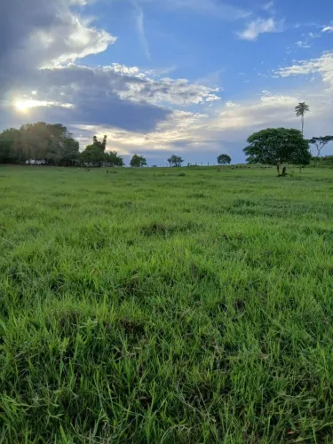 Fazendinha 120ha em Iracema-RR