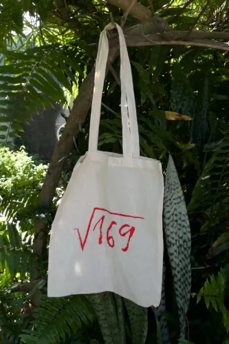 Ecobag raiz quadrada de 169
