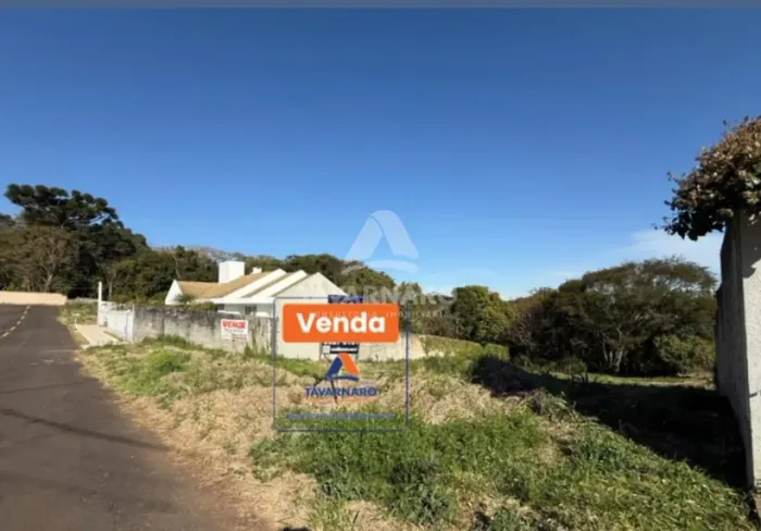 Terreno Padrão em Ponta Grossa