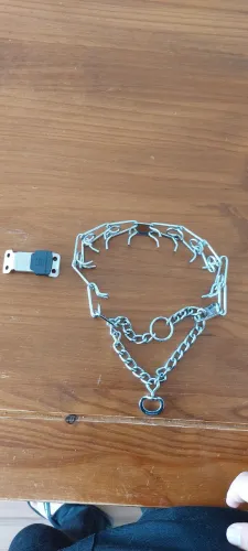 Coleira herm sprenger + click lock 