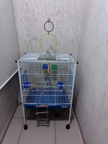 Gaiola para calopsita