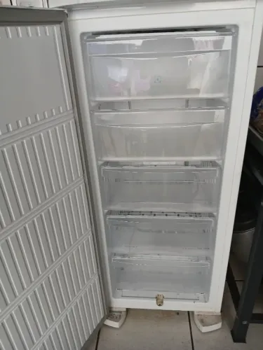 Freezer Vertical Electrolux 