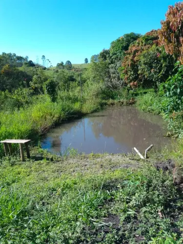 Sítio em Desterro de Entre Rios - MG - casinha boa linda vista oportunidade muita água