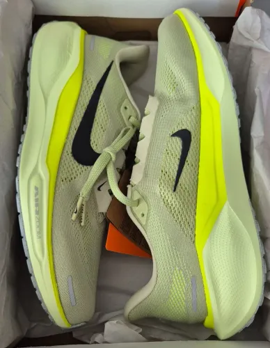 Nike pegasus 41
