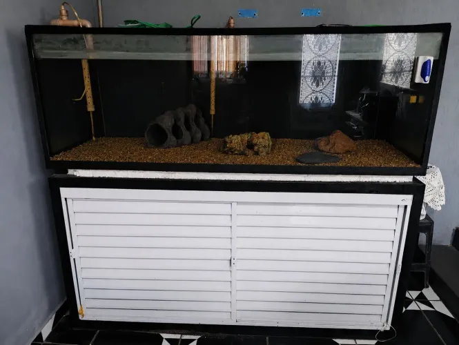 VENDO AQUÁRIO 1,70X70X70 COMPLETO COM MOVEL DE METALOM