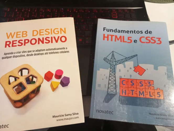 Kit 2 Livros html e css