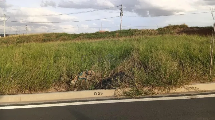 terreno - Campo Grande - Campinas