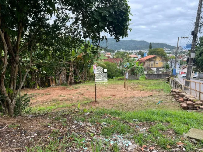 Terreno, Itacorubi