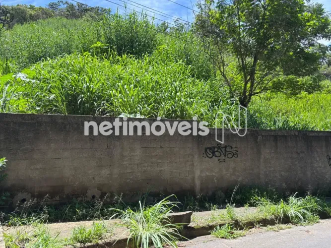 Venda Lote-Área-Terreno Comiteco Belo Horizonte