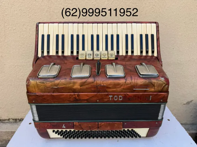 Acordeon sanfona gaita Todeschini 120 baixos artes redondas ano 1965