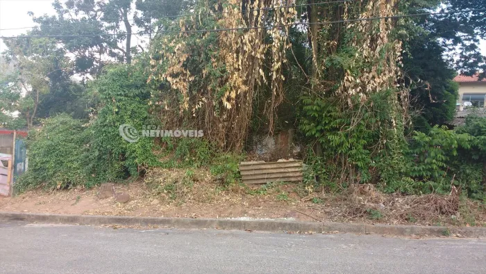 Venda Lote-Área-Terreno Palmeiras Belo Horizonte