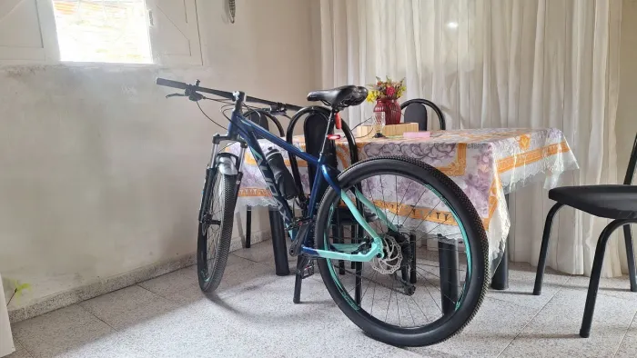Bicicleta Audax adx 100