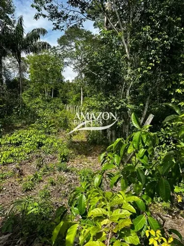 Tarumã Açu - 5.000 m2 - Terreno - Vendo
