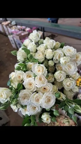 Buquê de Rosas Brancas para Decoração maço com 20 unidades