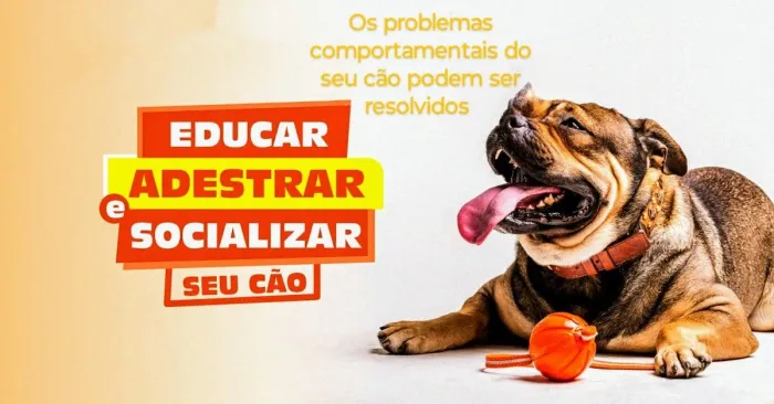 Adestrador de cães