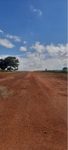 Fazenda lavoura no Goiás 