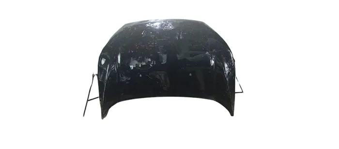 CAPO ECOSPORT C/DETALHE FORD ECOSPORT 2015 A23095 - P31078