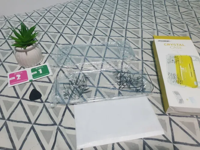 Case switch lite e película 
