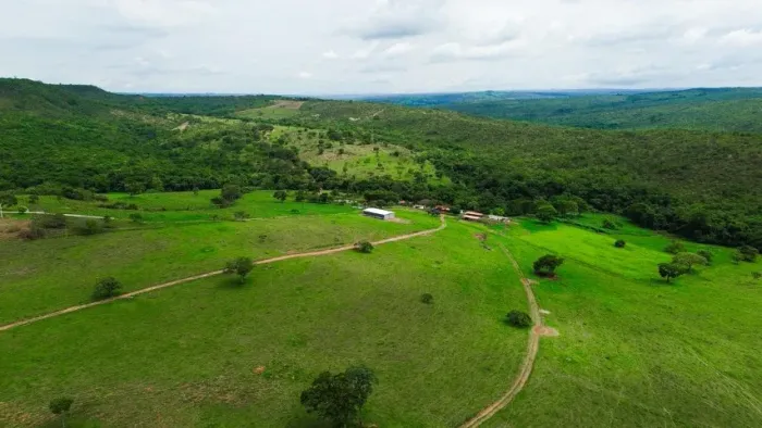 Fazenda Tripla Aptidão à venda em Santo Antônio do Descoberto - GO.