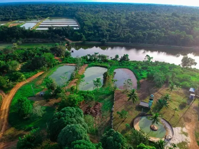 Fazenda 1.000 x 1.420 na Manuel Urbano 10.000.000