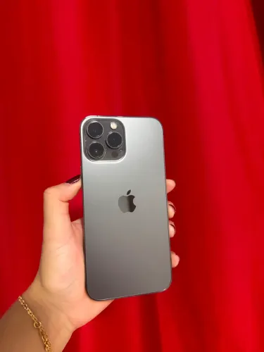 13 PRO MAX 256 GB