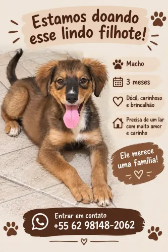 Doação Cachorrinho