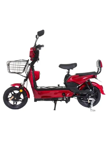 Bicicleta elétrica