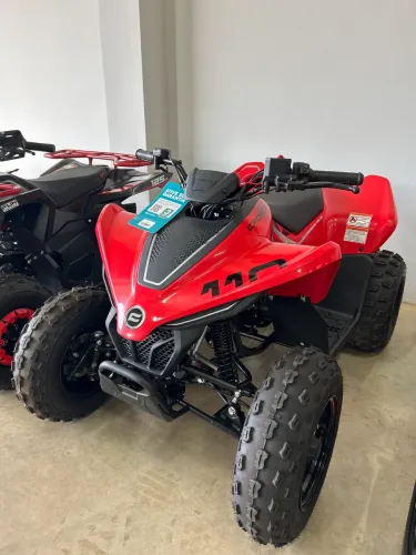 Quadriciclo CFORCE 110Lv