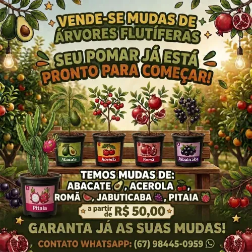 Mudas de Árvores Flutíferas