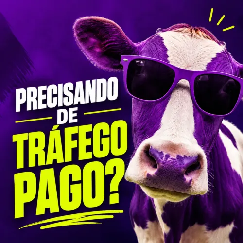 Precisando de Tráfego pago?
