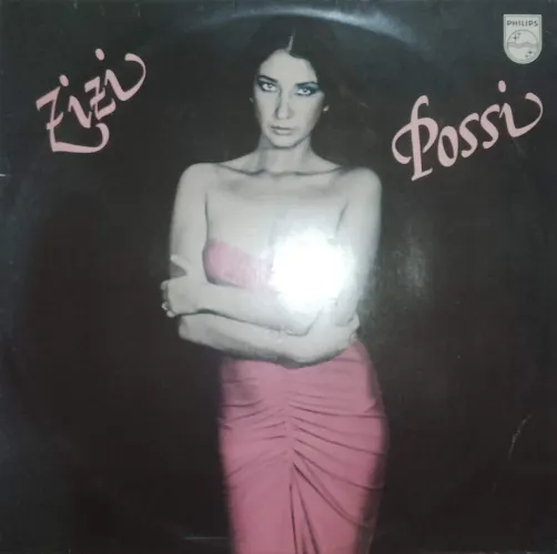 Vinil Zizi Possi