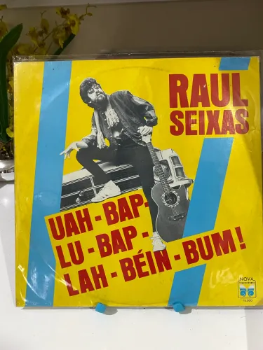 LP Disco Vinil Raul Seixas