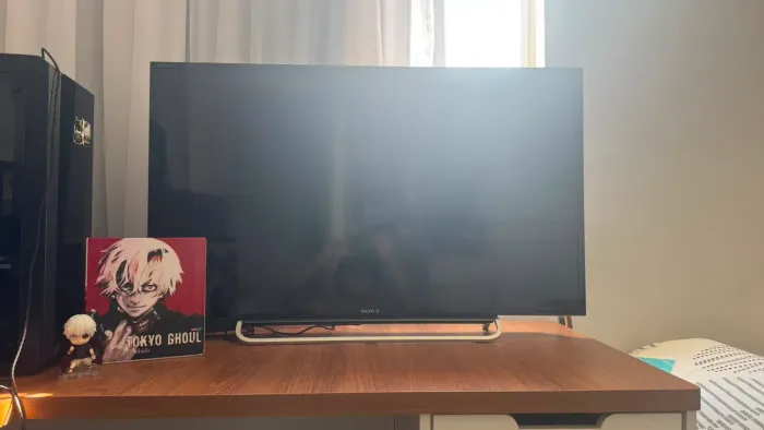 TV Sony 40" + Painel/Móvel Incluso