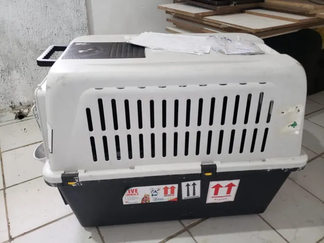 Casinha para Cachorro