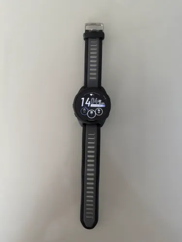 Garmin 165