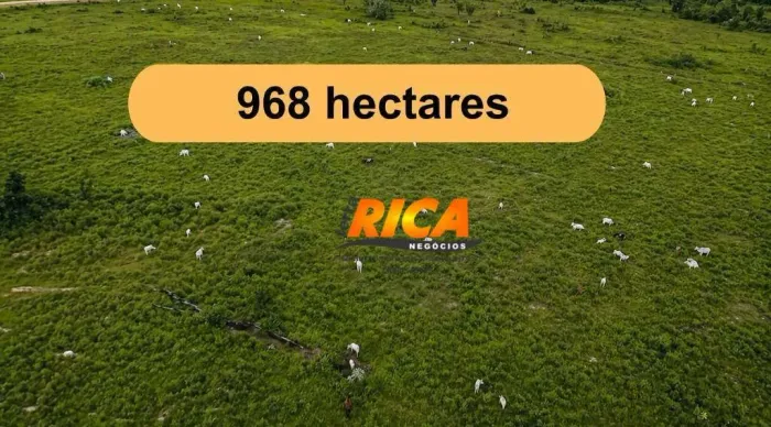 Fazenda à venda, 9680000 m² por R$ 3.200.000,00 - Área rural de Apuí - Apuí/AM